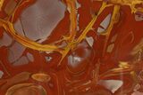 Polished Noreena Jasper Slab - Australia #314238-1